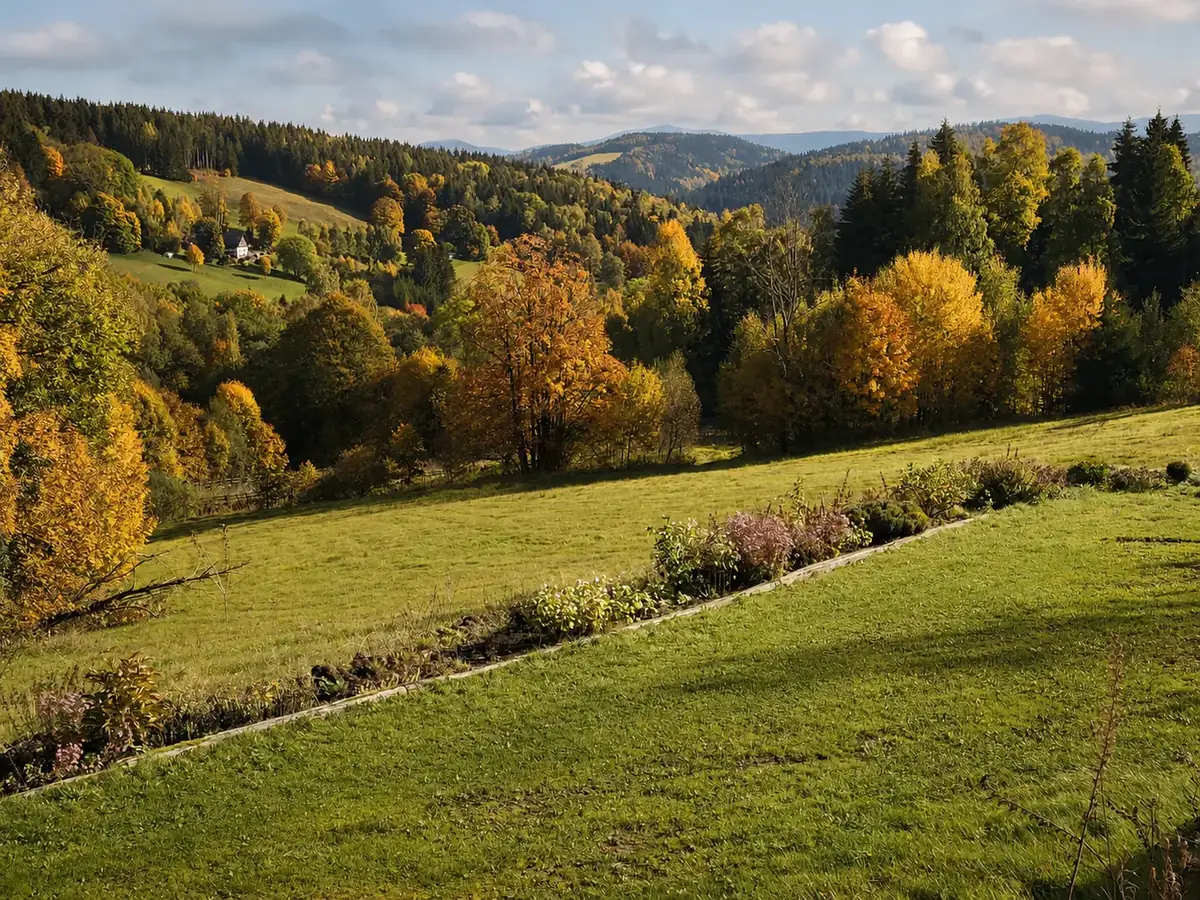 Podzimní krajina nad Bartošovicemi v Orlických horách